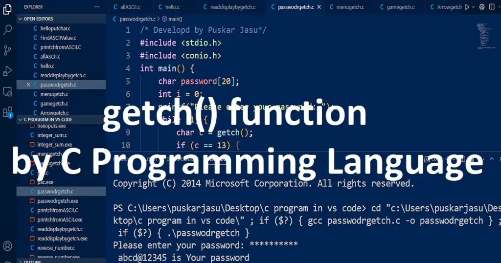 getch() function by c programming language